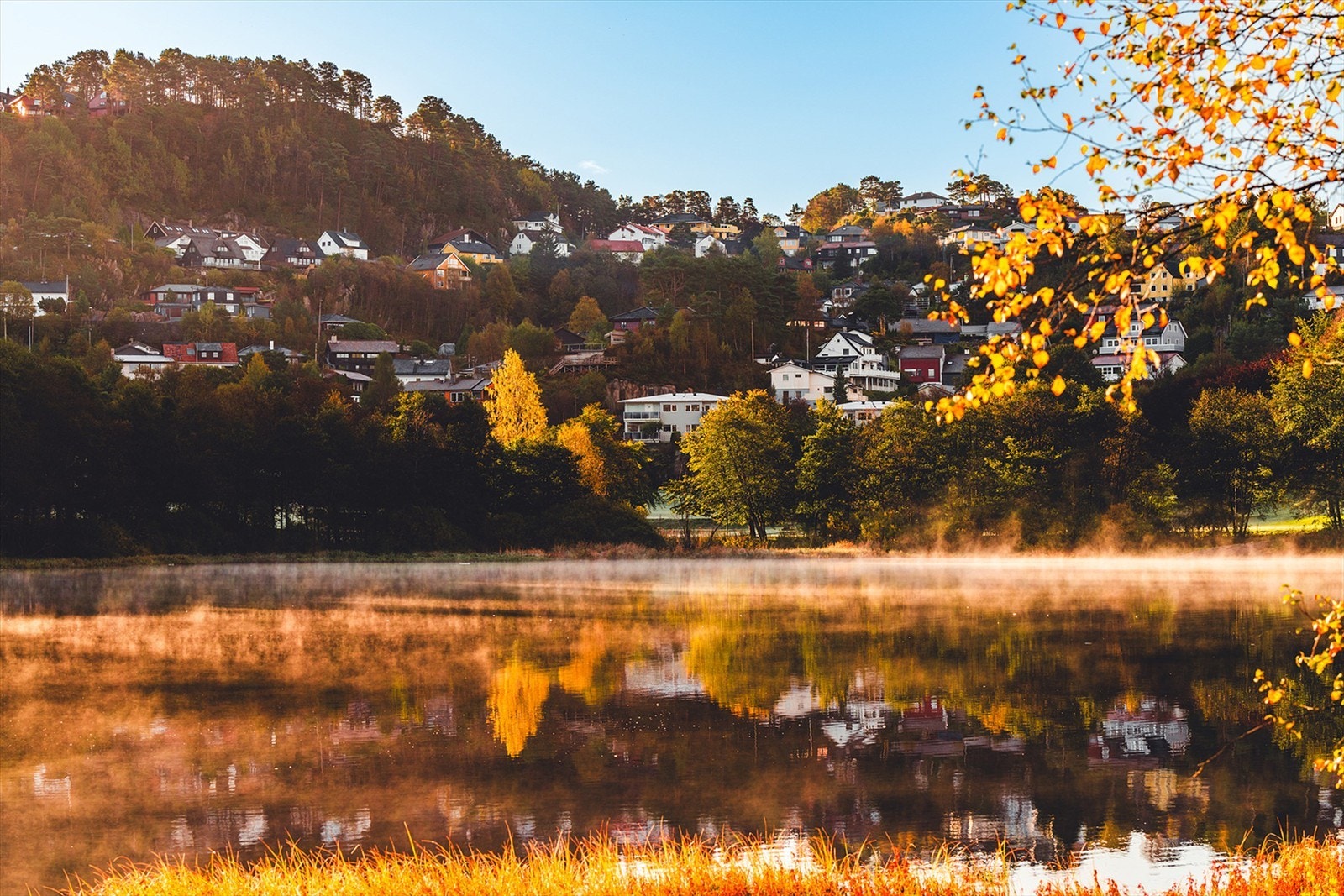 Lynghaugtjørna som du ser fra leiligheten. Galleribilde