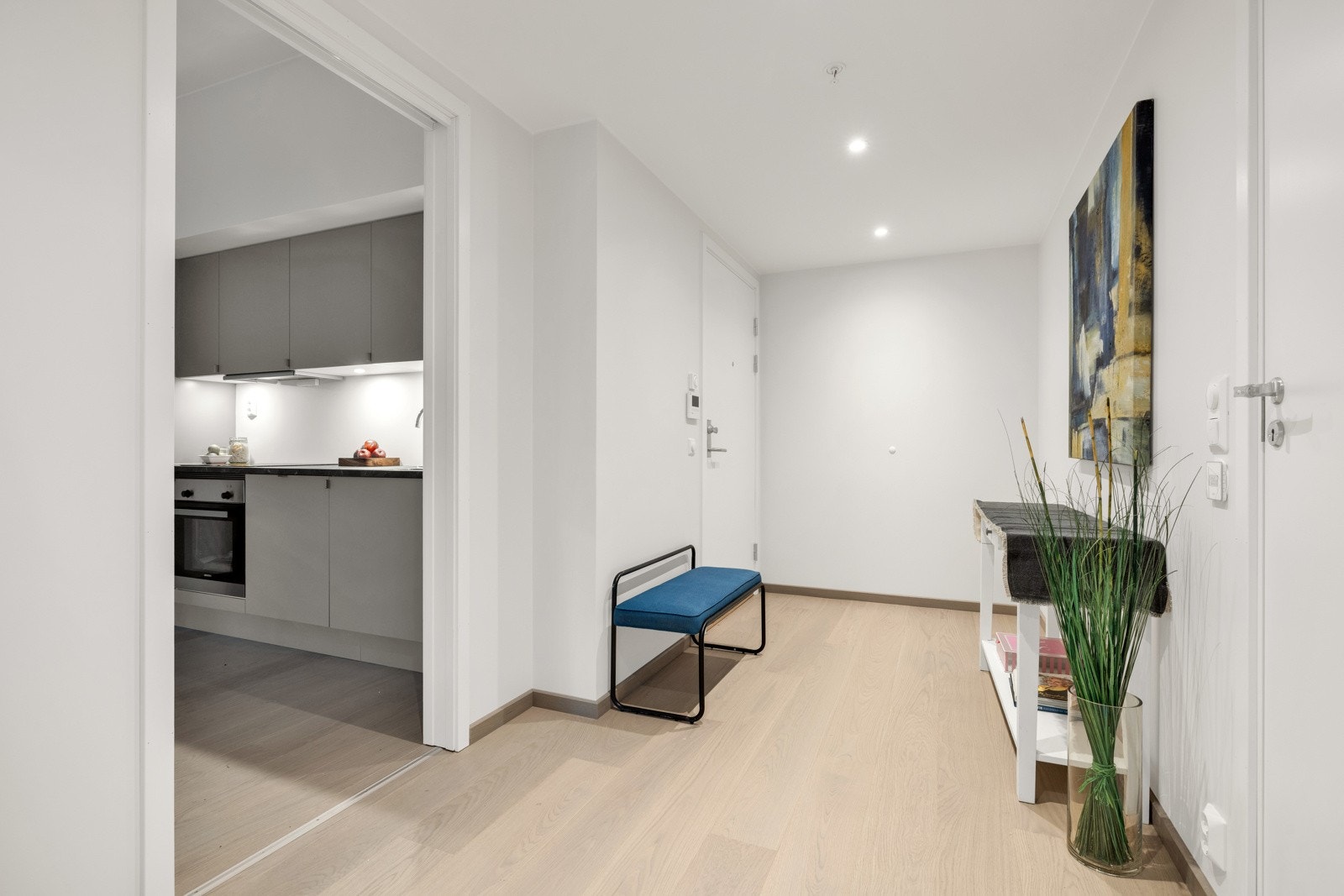 Entré med tilgang til stue/kjøkken, bad og soverom. Galleribilde