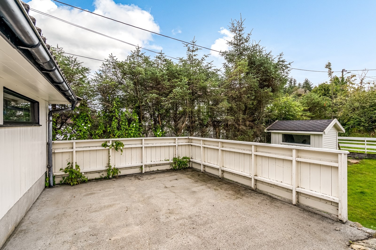 Solplatting på bakside Galleribilde