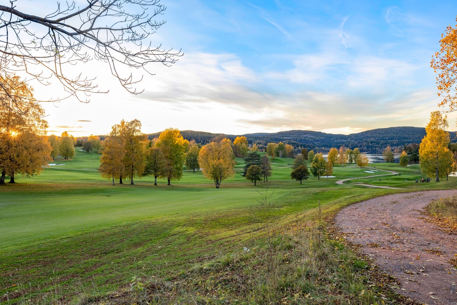 Nærområde Galleribilde