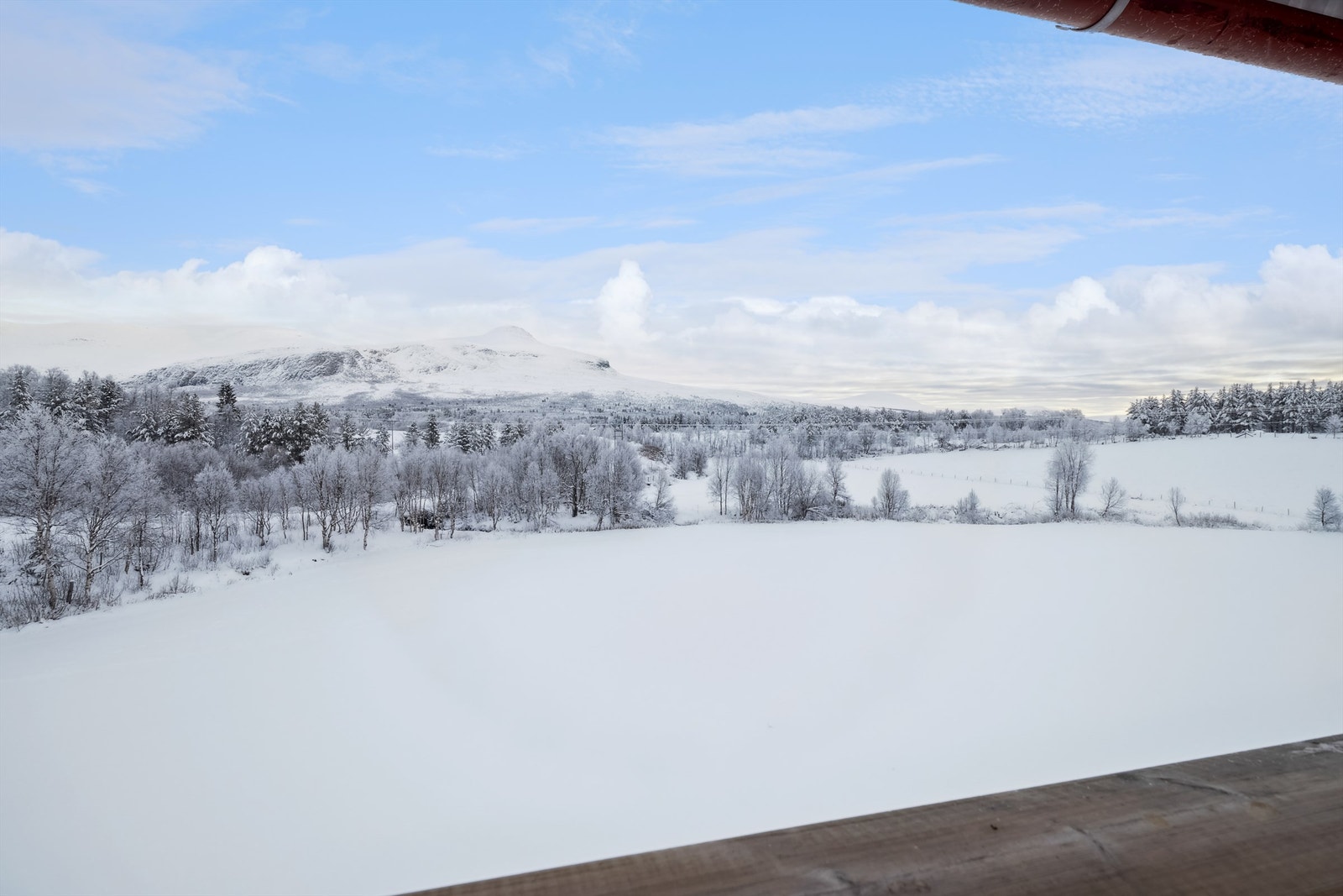 Utsikt fra verandaen Galleribilde