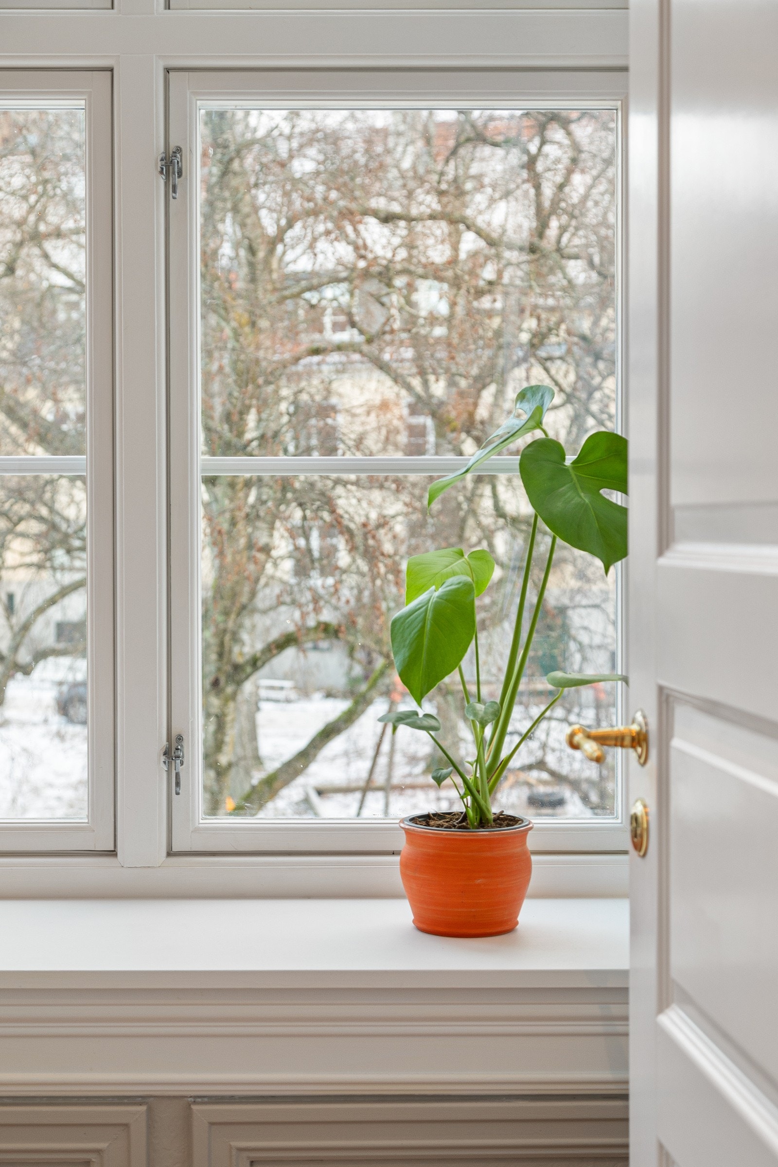 Leiligheten ligger vendt mot en rolig og fin bakgård Galleribilde