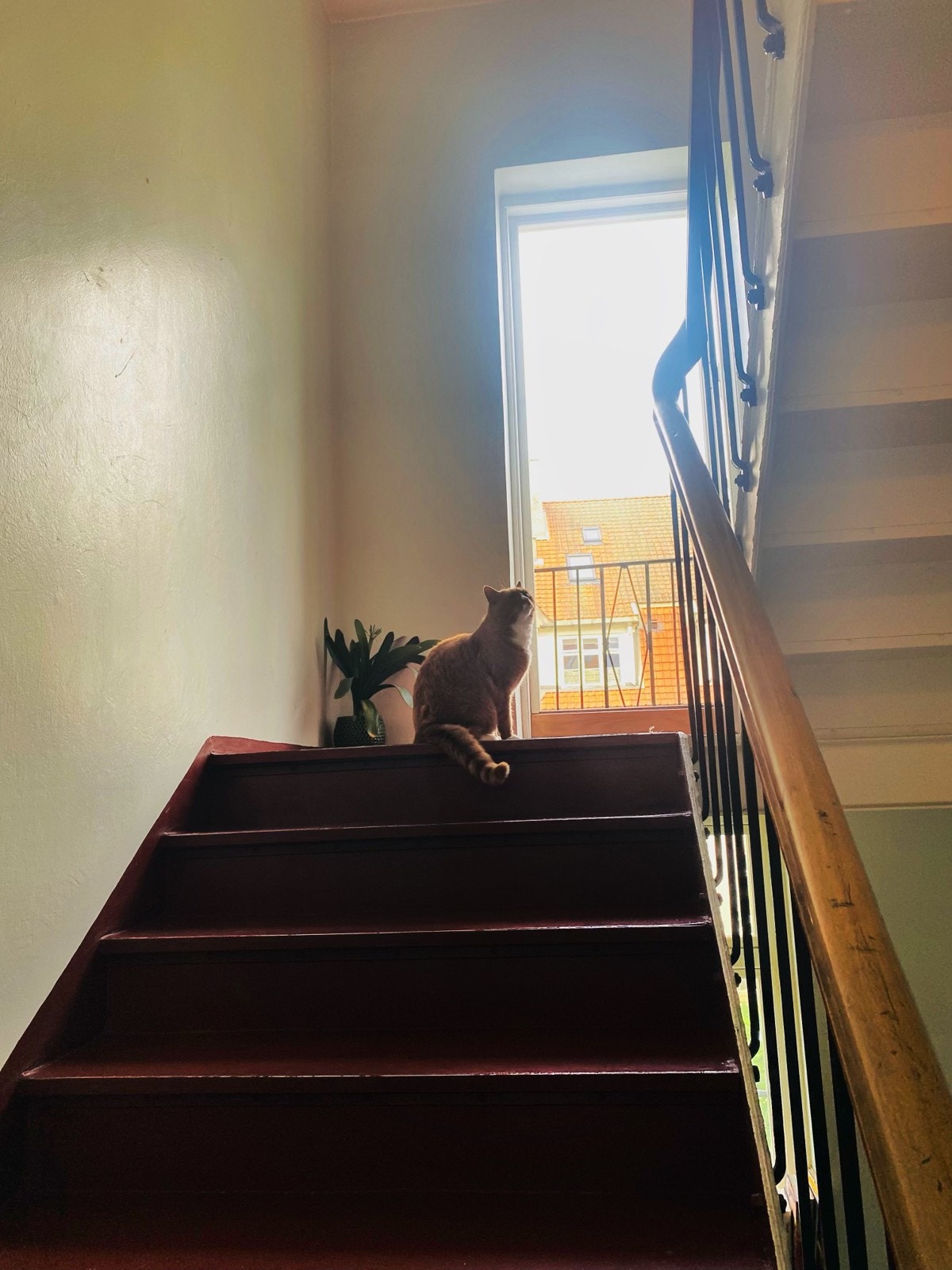 En halv etasje opp er det en solrik og fin balkong Galleribilde