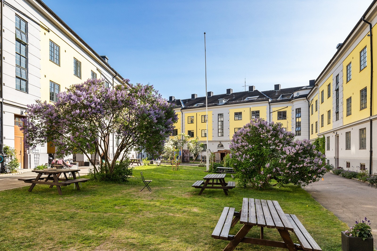 En flott og frodig bakgård Galleribilde