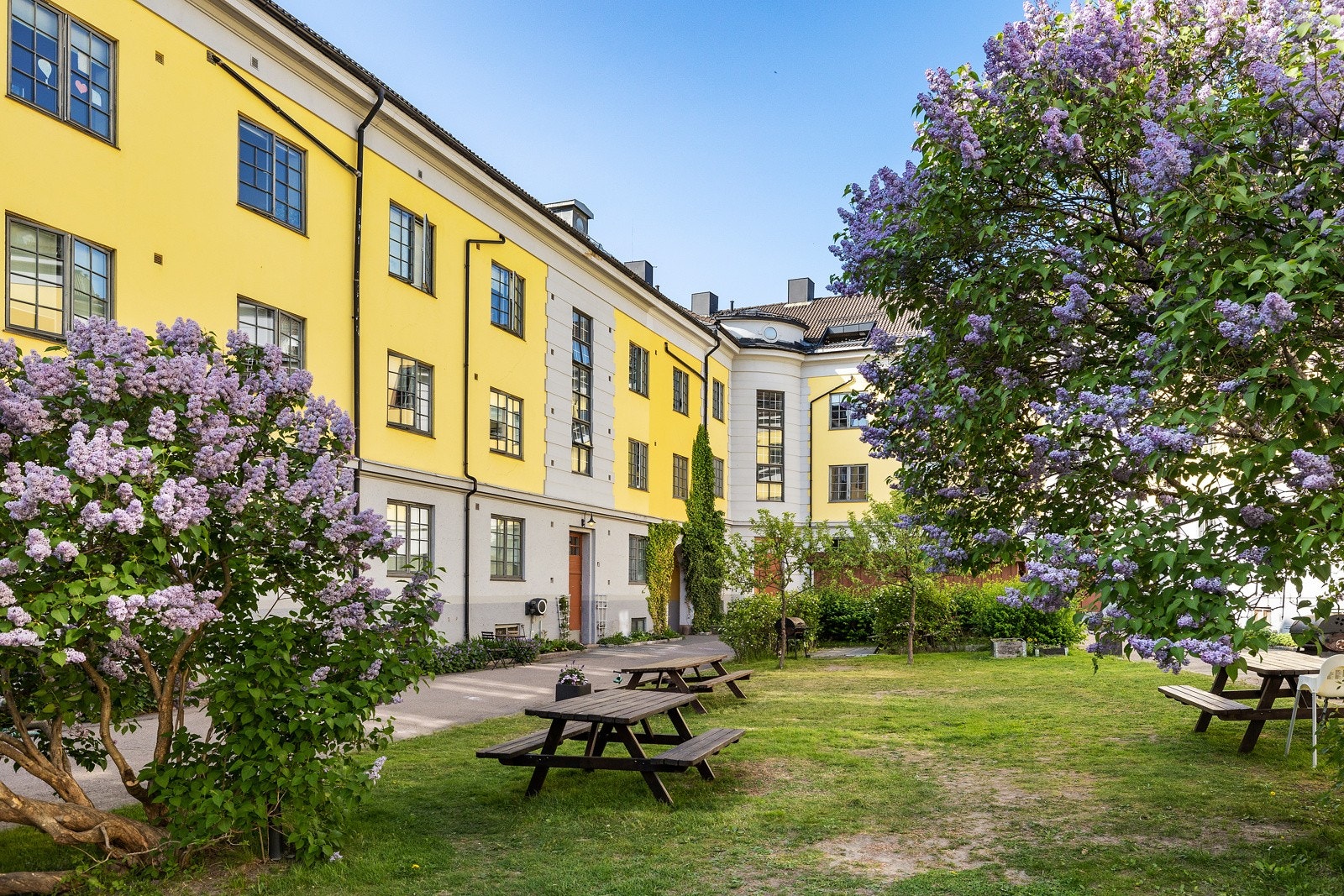 Bakgården på sommeren Galleribilde