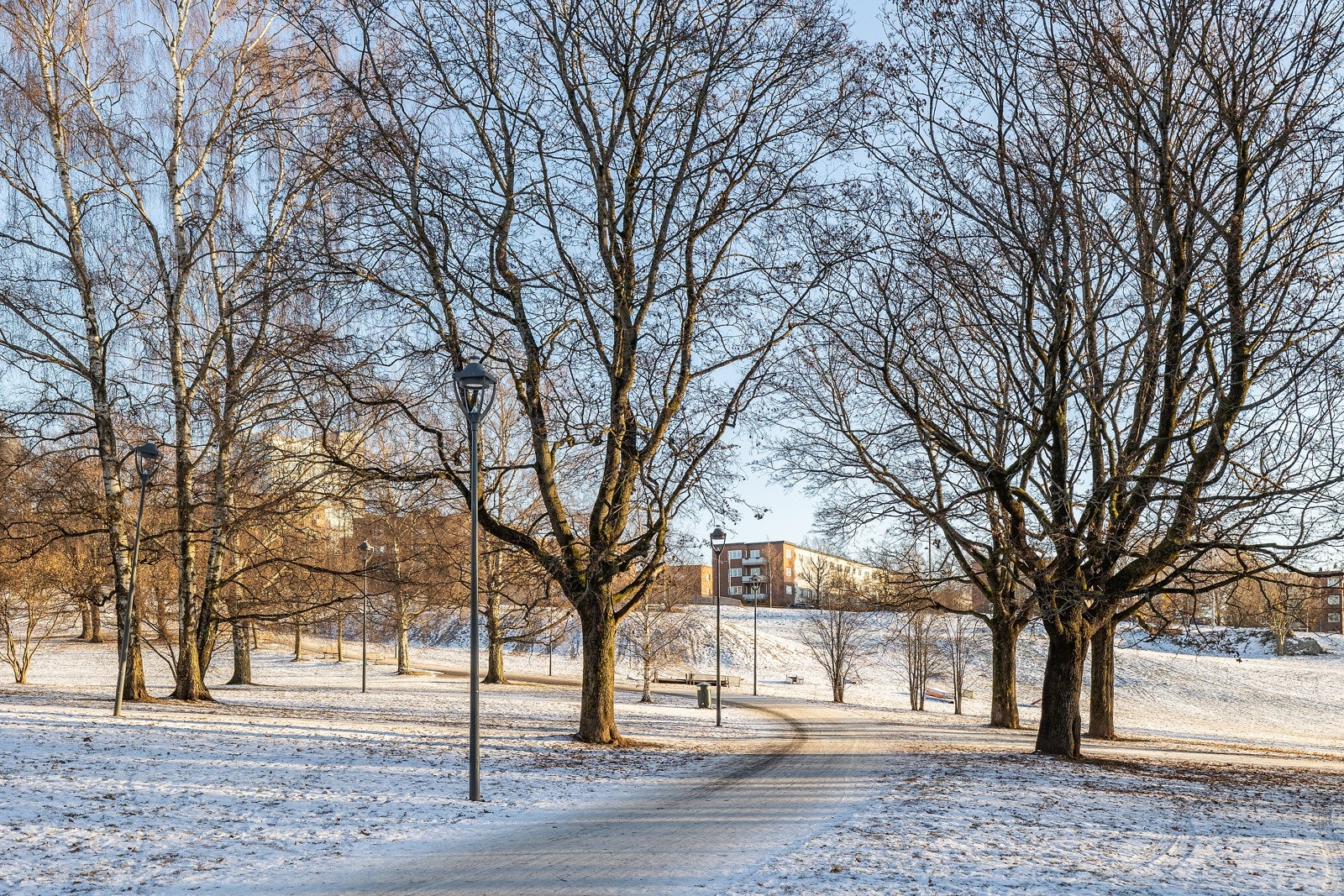 Torshovdalen er nærmeste nabo! Galleribilde