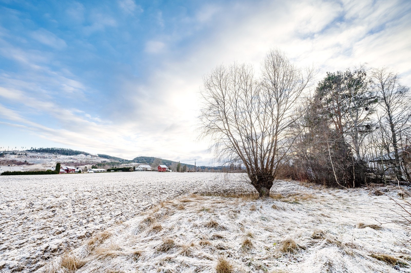 Eiendommen ligger fint til på Bjørkelangen. Galleribilde