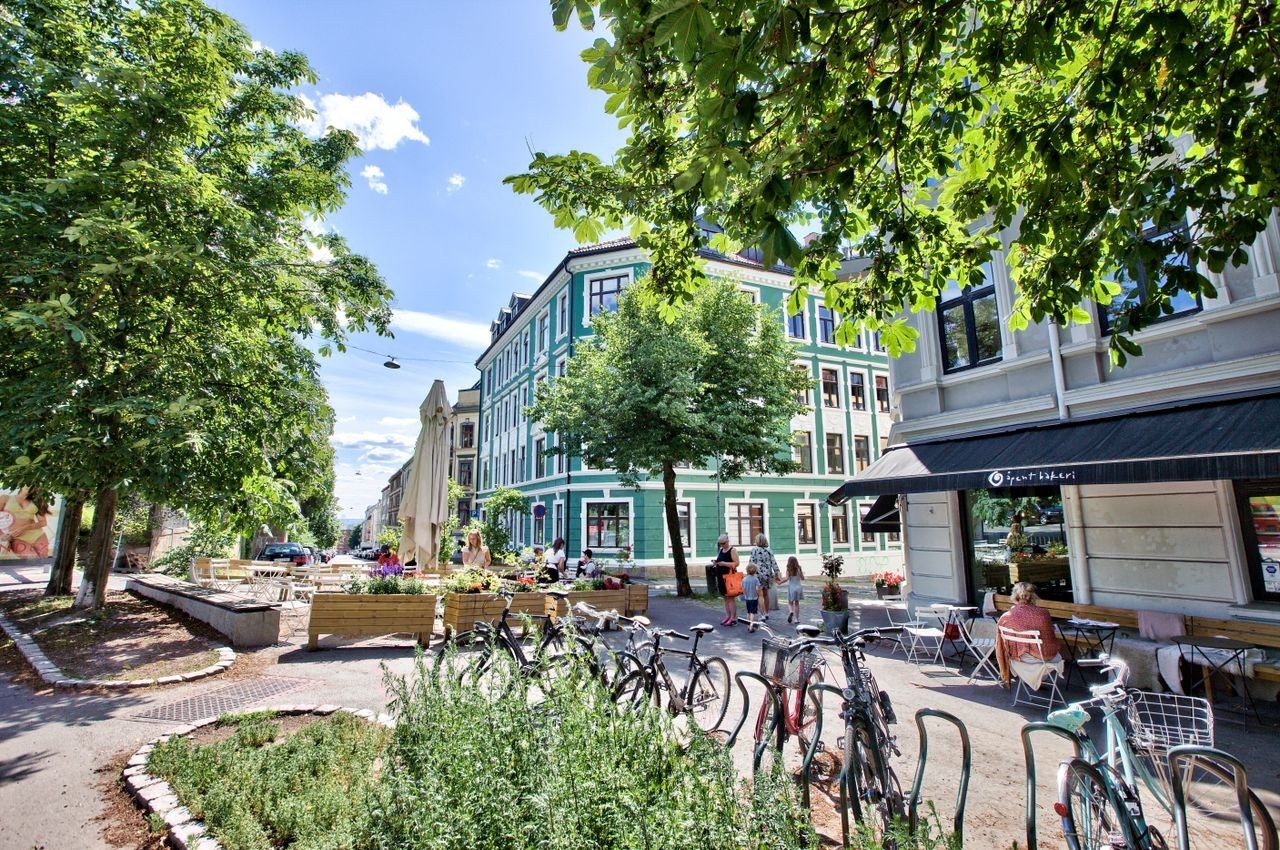 Nærområde Galleribilde