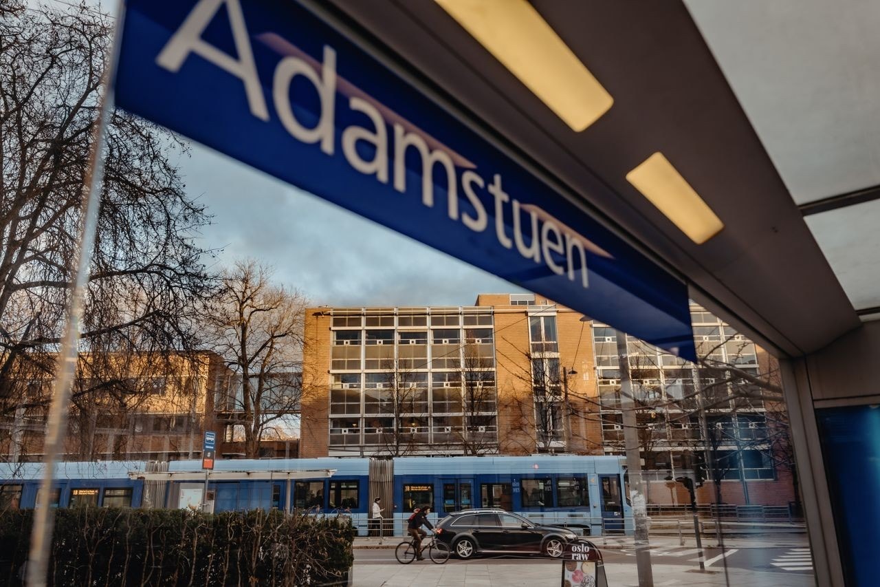 Nærområde Galleribilde