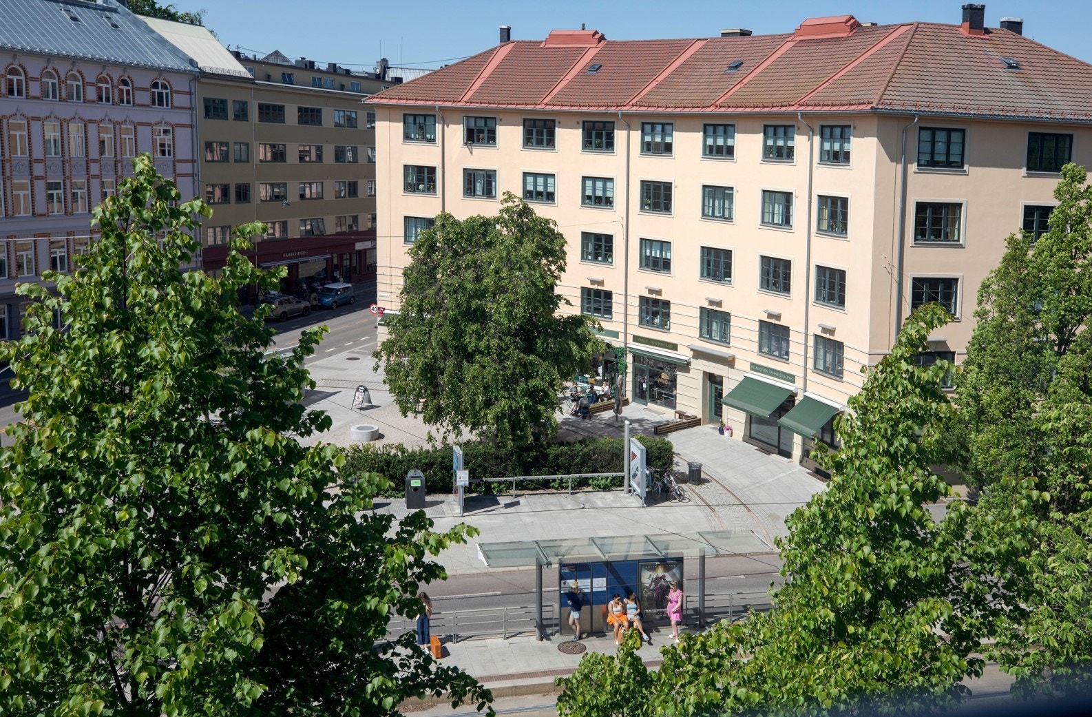 Nærområde Galleribilde