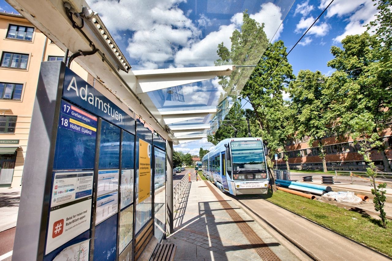 Nærområde Galleribilde