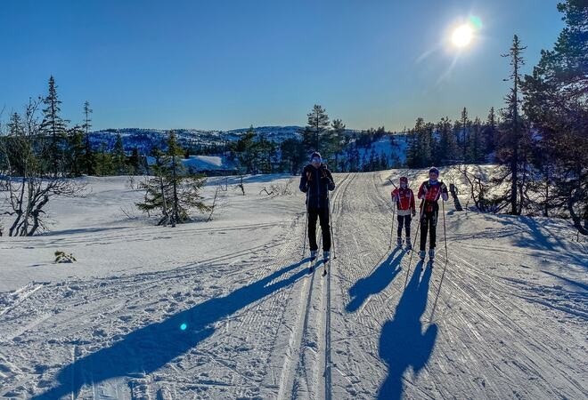 Nydelige skiforhold. Galleribilde