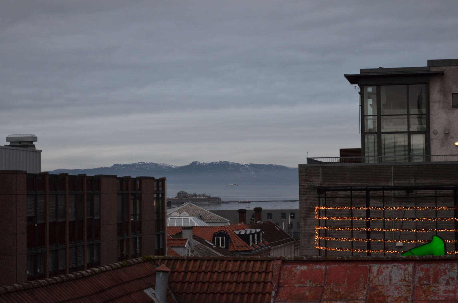 Felles takterasse Galleribilde