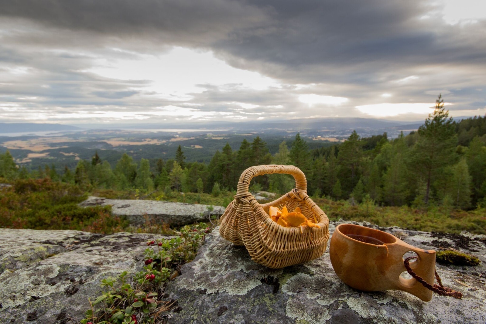 Soppturer, bærplukking, hengekøyetur, jakt og fiske - rett i nærheten Galleribilde