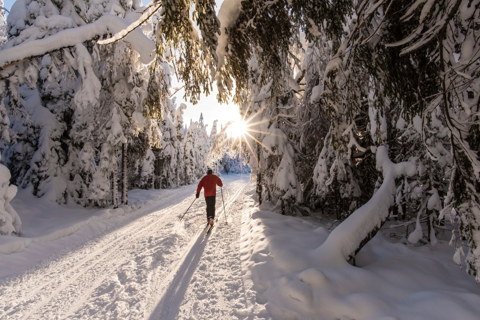 Ringkollen har vært et av de mest snøsikre områdene i marka de siste årene Galleribilde