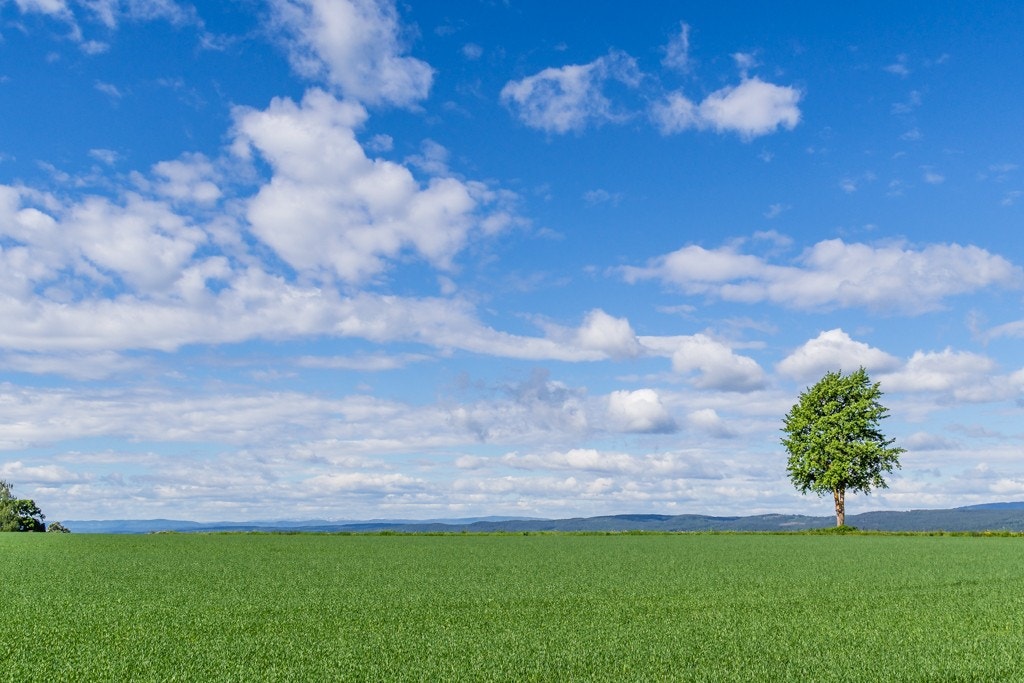 Flytt til Tanberglia og nyt livet i vakre omgivelser! Galleribilde