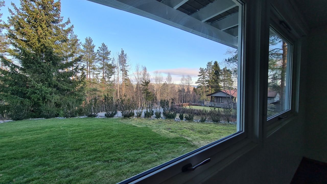 Utsikt stue høst Galleribilde