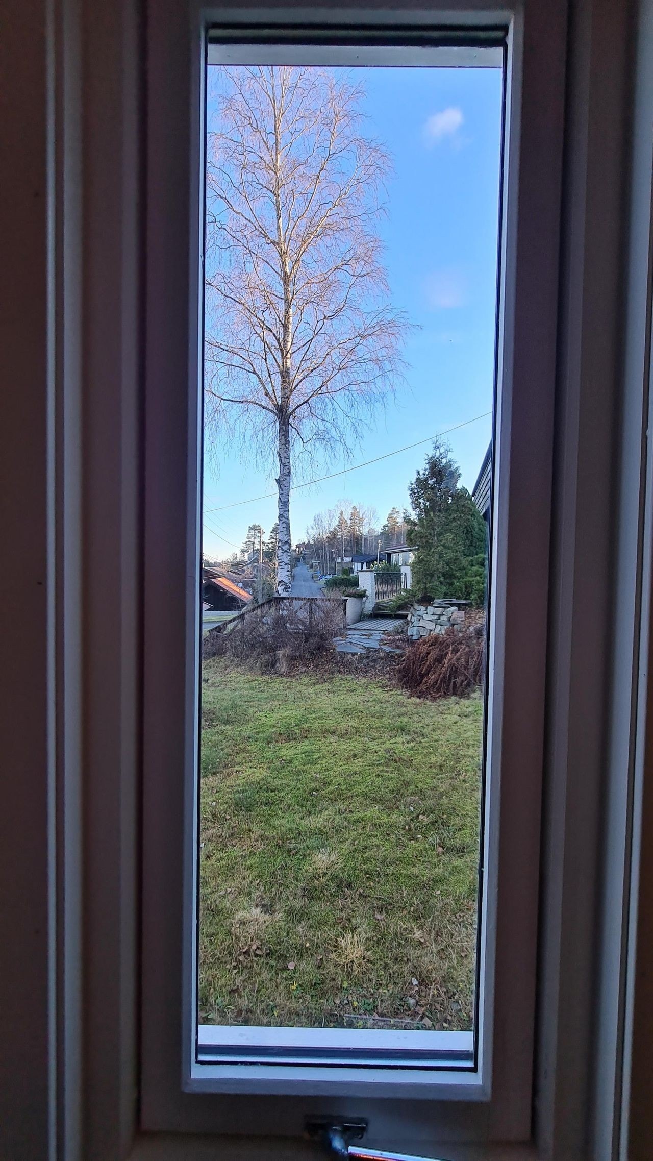 Utsikt fra soverom høst Galleribilde