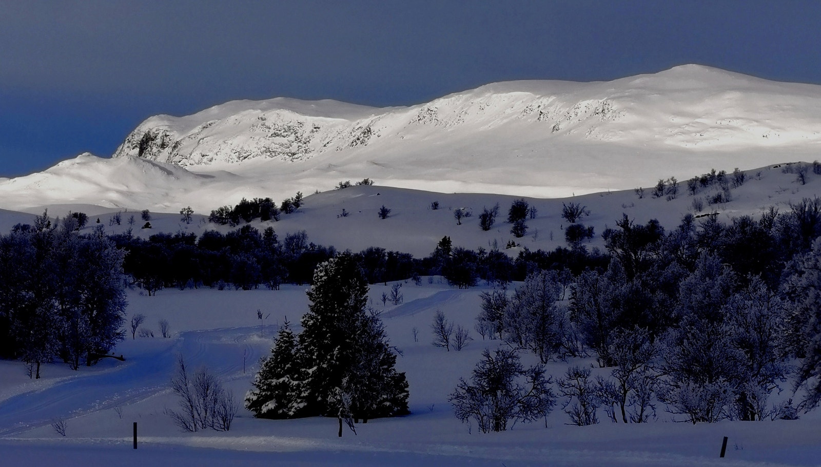 Reineskarvet 1791 moh 03.02.23 Galleribilde