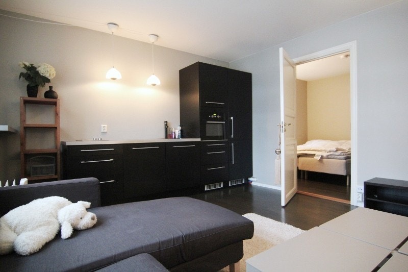 Praktisk lite kjøkken og hyggelig stue. Inngang til soverom m dobbeltseng Galleribilde