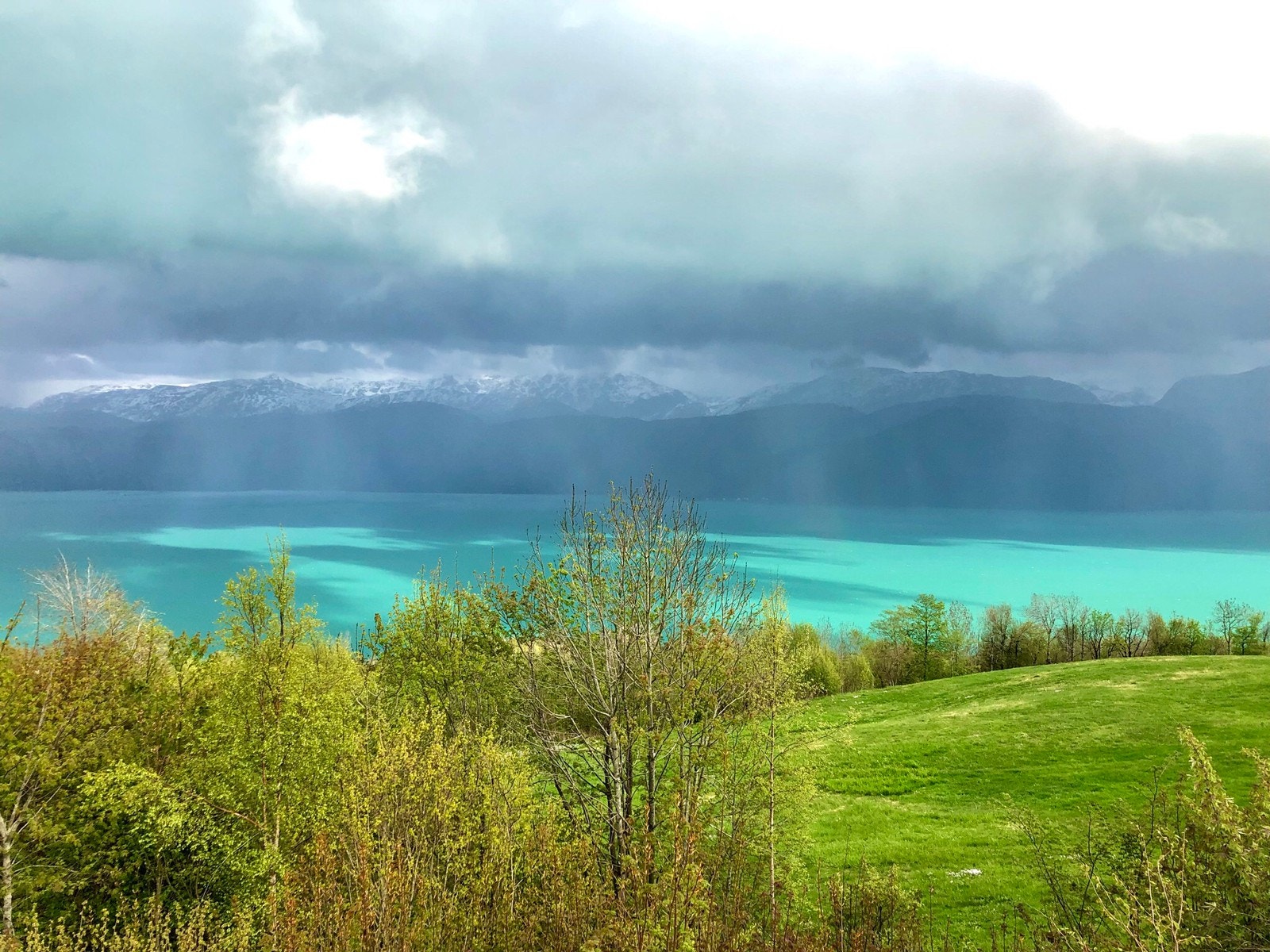Utsikt frå hagen Galleribilde