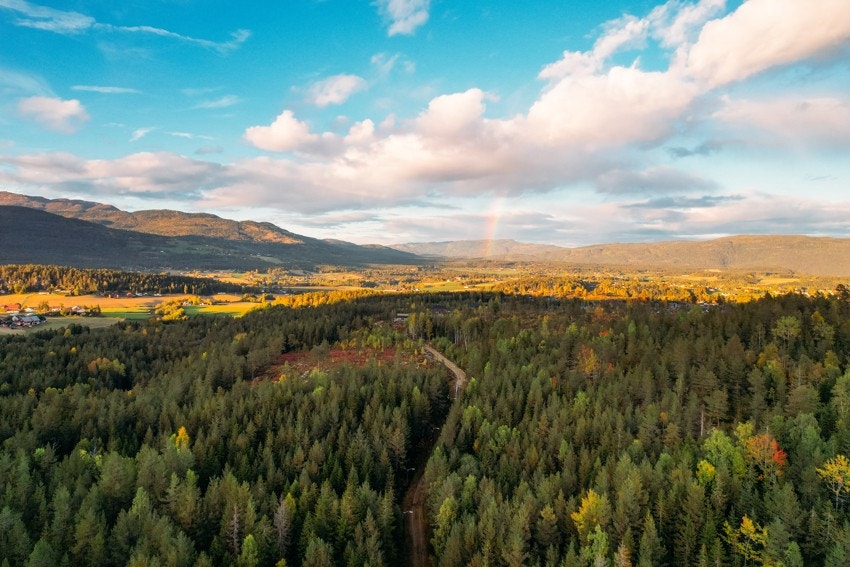 Lysløypa ligger like ved boligen, med skiløyper på vinteren og fine fotturer på sommeren Galleribilde