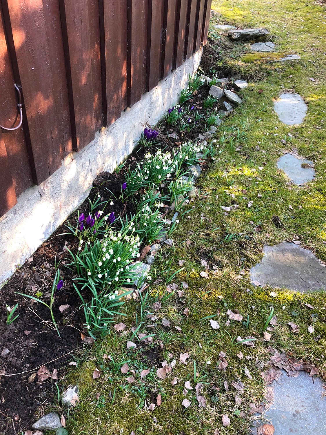Blomsterbed i hage Galleribilde