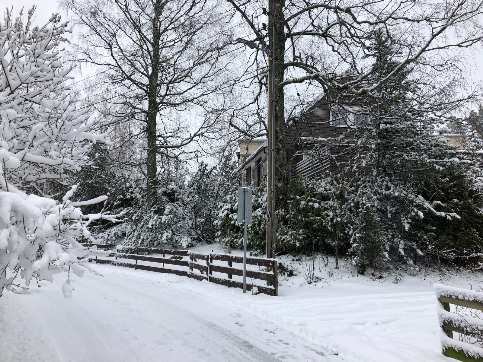 Huset om vinteren Galleribilde