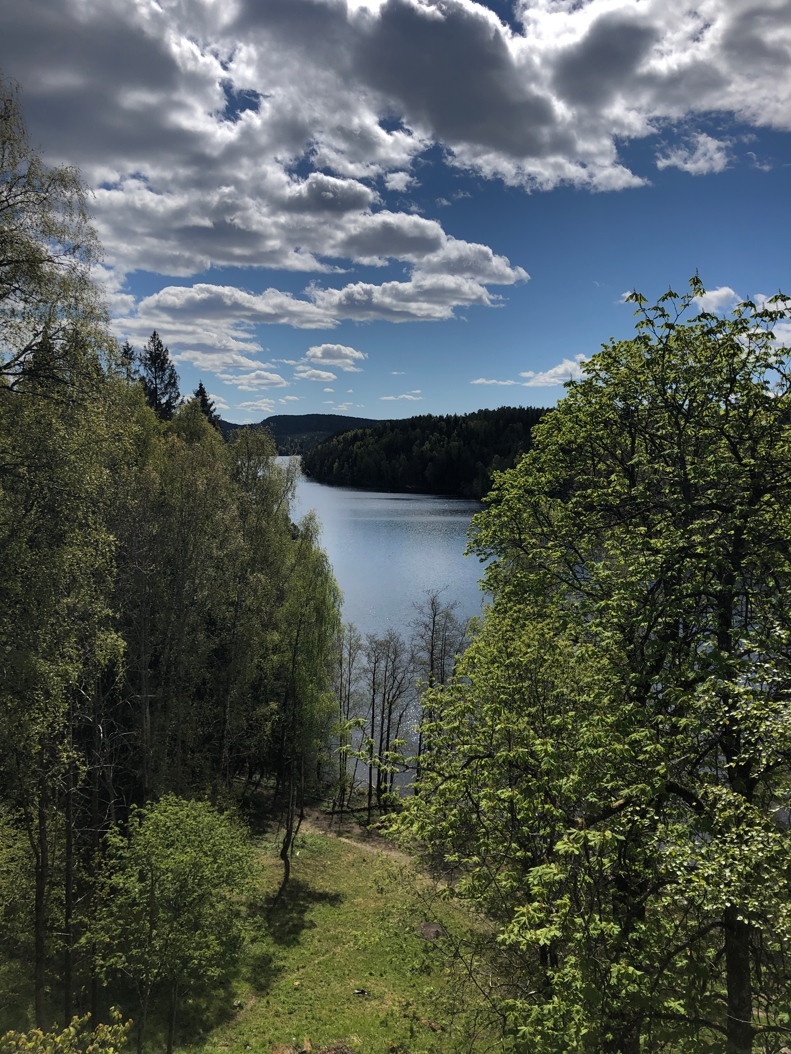 Område, Nølkevann Galleribilde