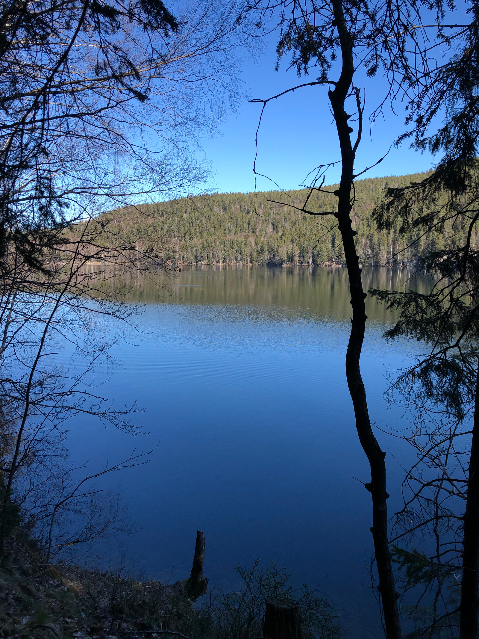 Område, Lutvann Galleribilde