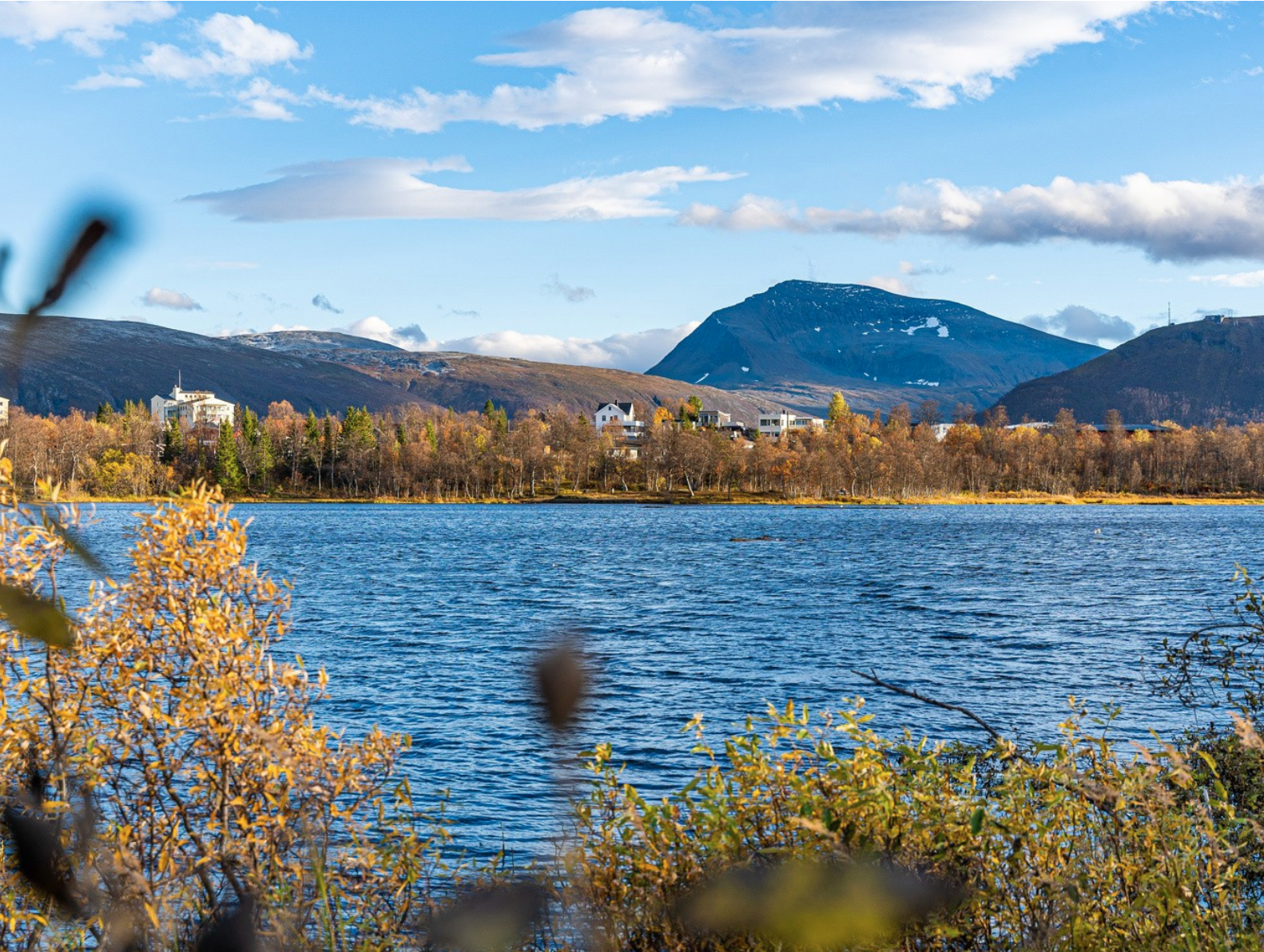 Prestvannet Galleribilde