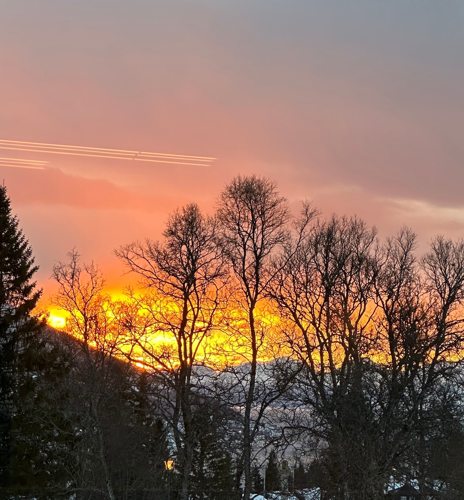 Utsikt fra veranda mot sør Galleribilde