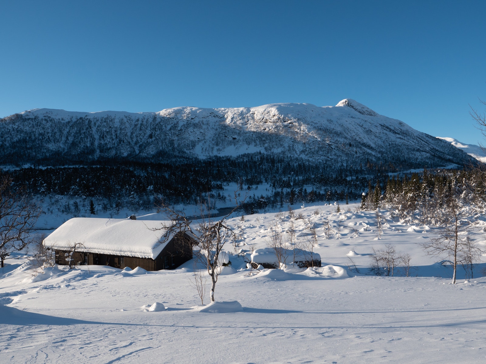 Med Raudhorn foran Mugnetind og Jotunheimens forgård Galleribilde