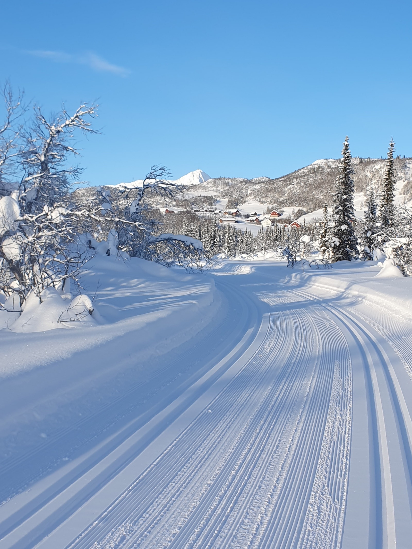 Skiløype i nærområdet Galleribilde