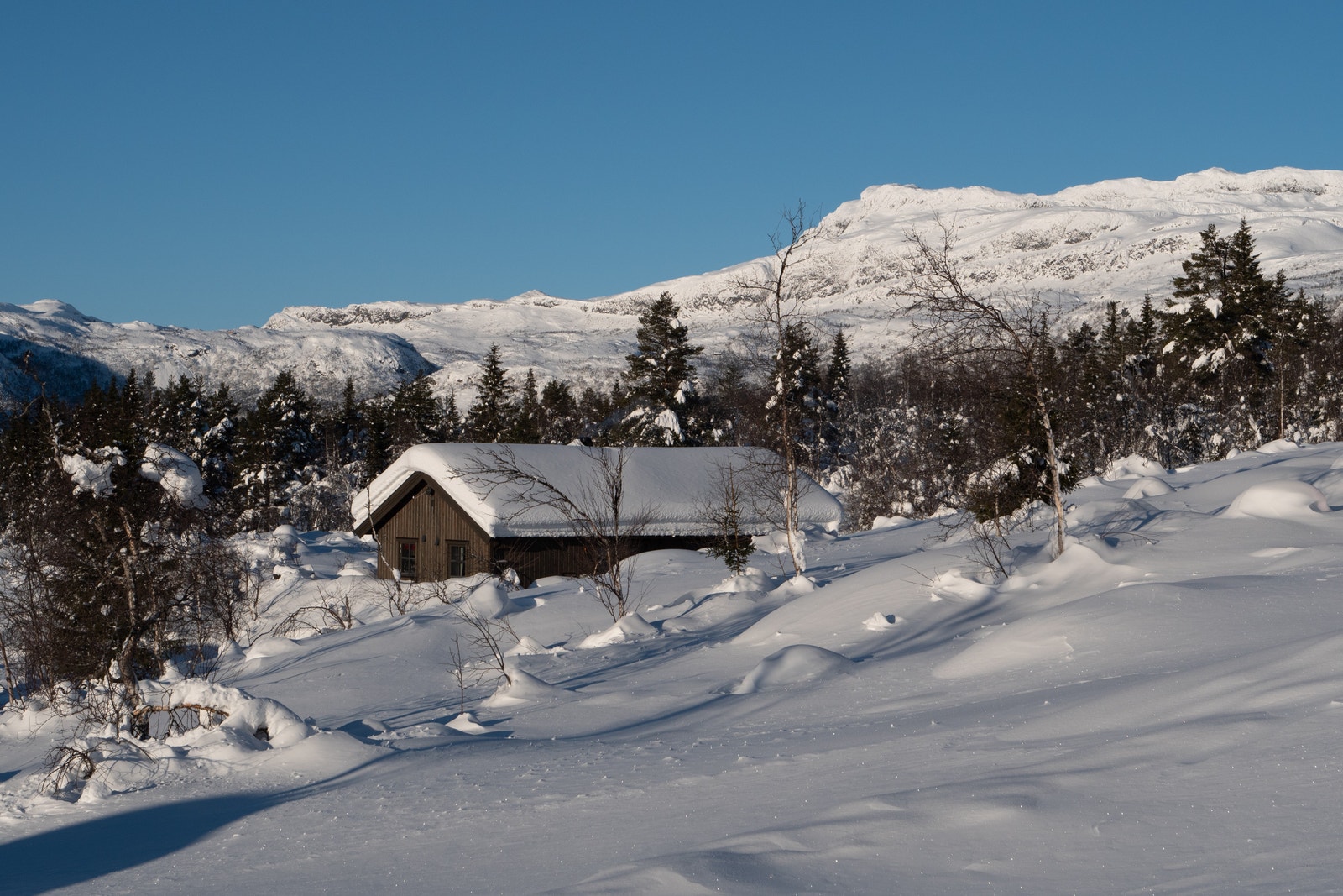 Flott utsyn mot Skyrifjell fra hytta
Hovedsakelig lav og åpen skog og uberørt turterreng innover mot nord og vest, mens skiløypa går andre veien sørover. Galleribilde