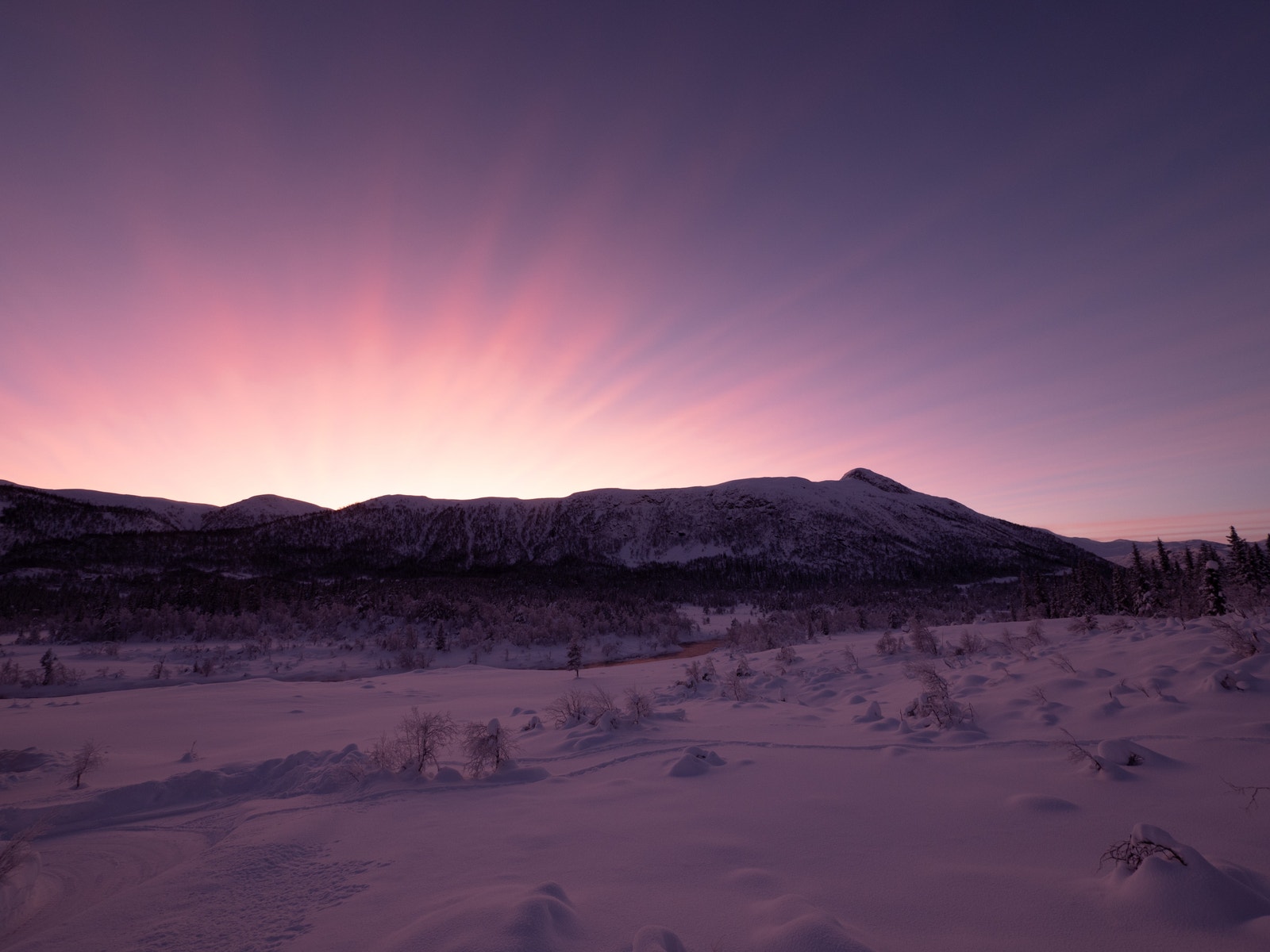 Utsikt på kveldstid Galleribilde