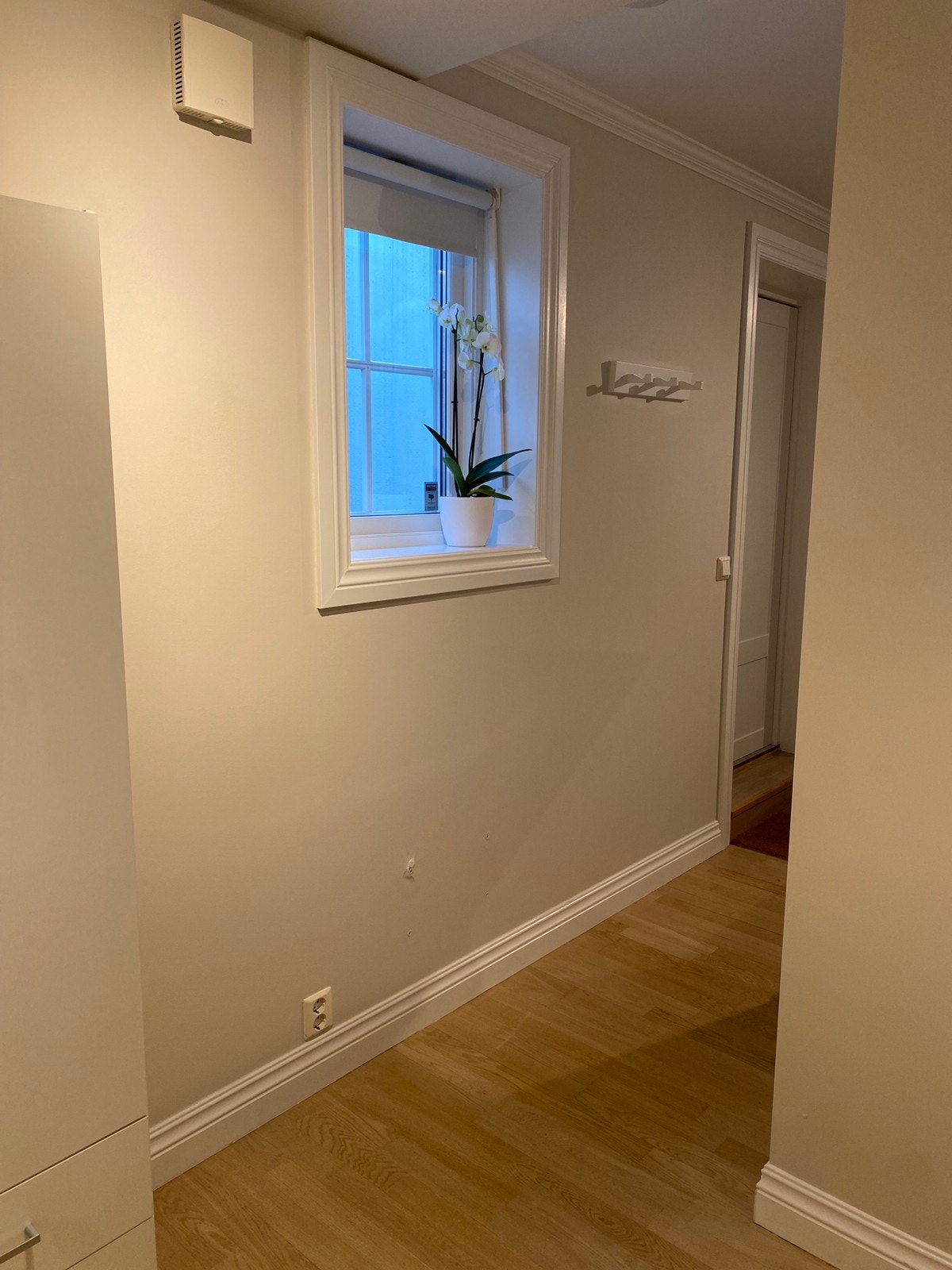 Utsikt fra sovealkove Galleribilde