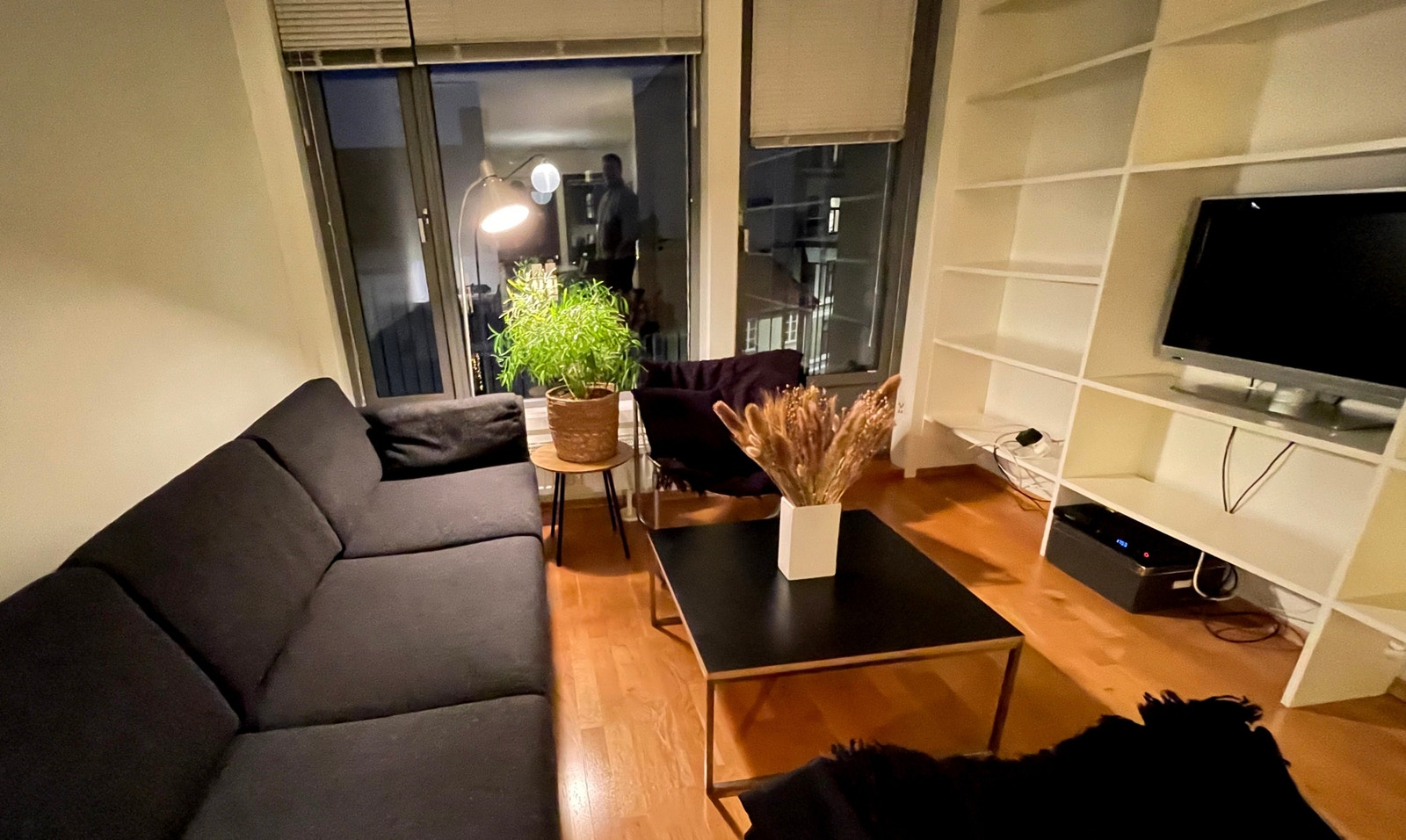 Stue med innebygde bokhyller og TV Galleribilde