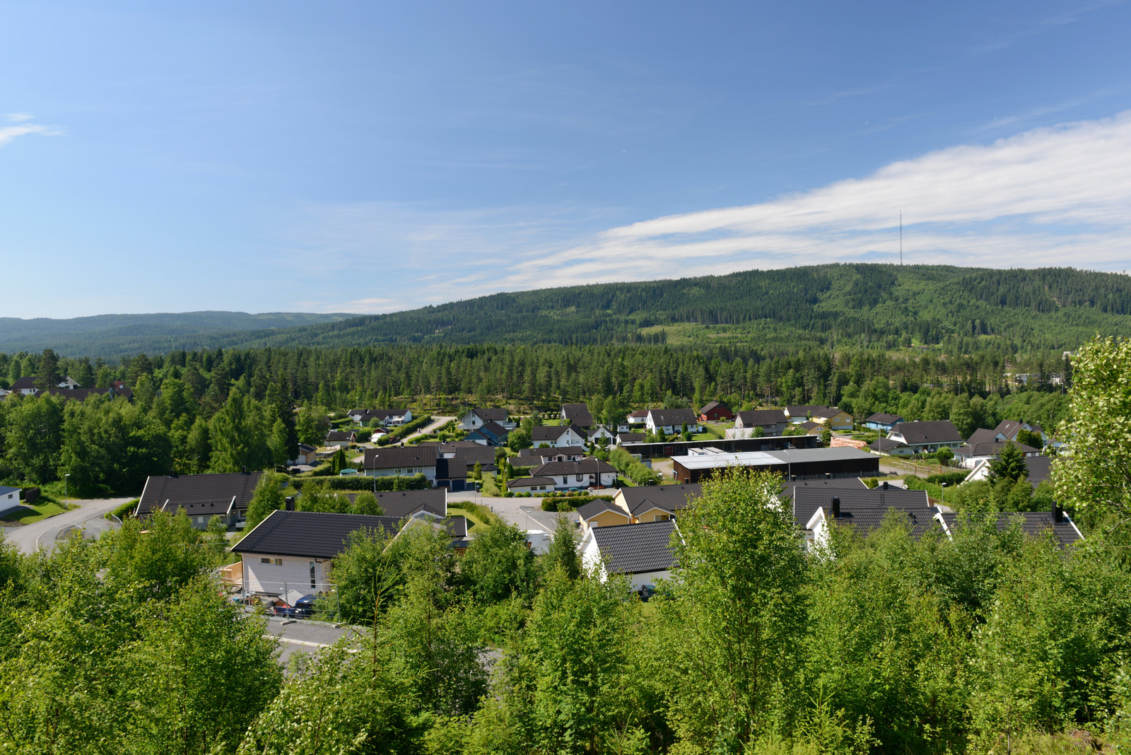Utsikt fra Rasta mot Holtberget.