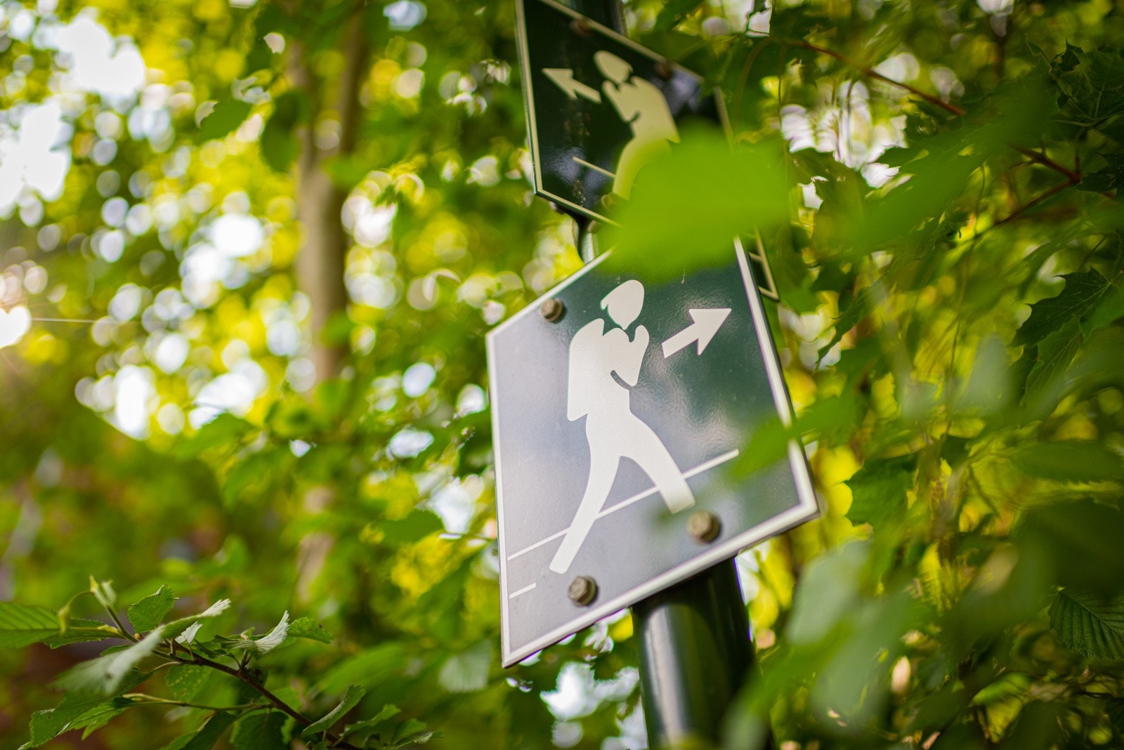 Det er også svært gode tur -/ og grønområder. Galleribilde