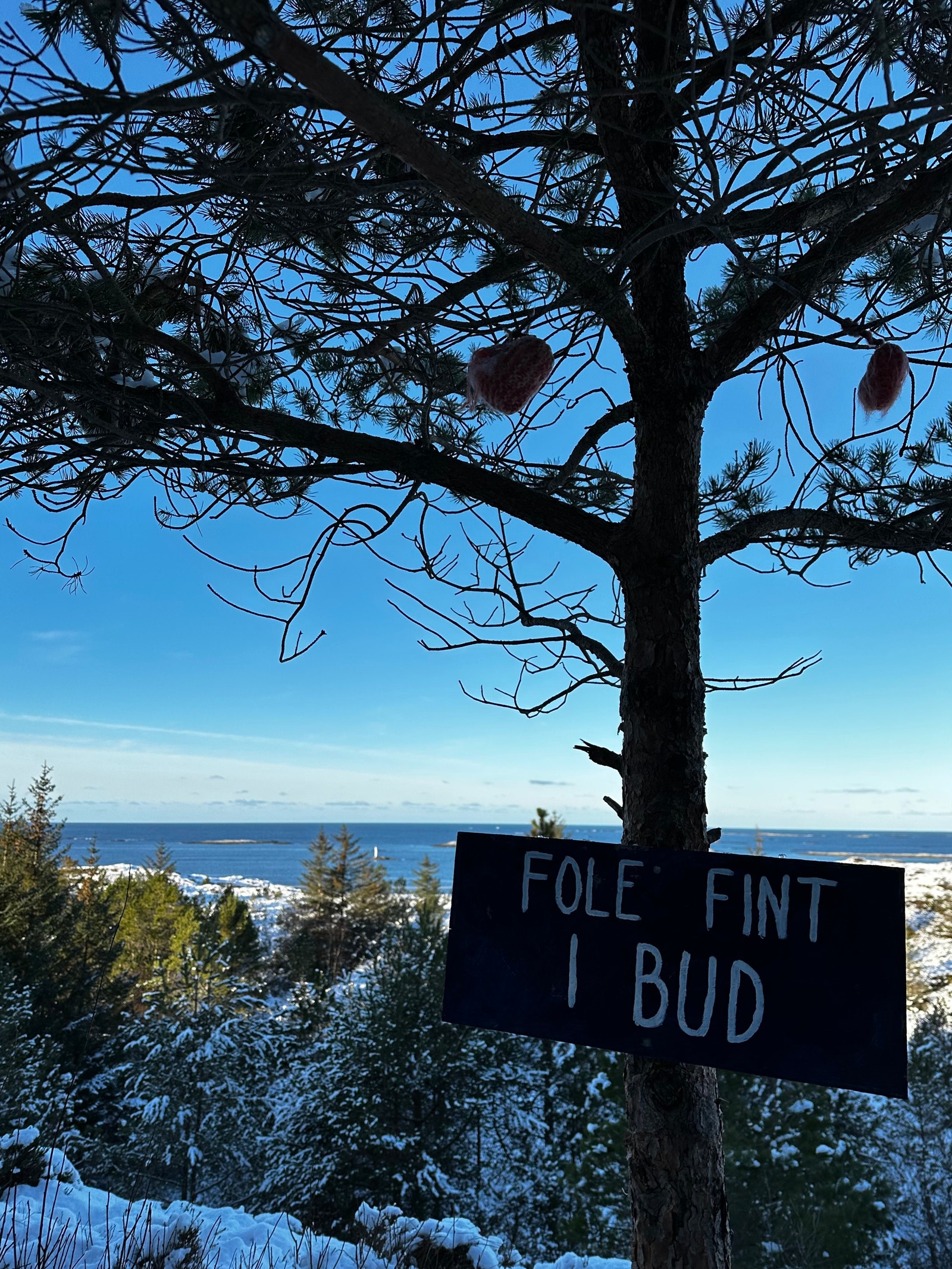 Kyststien Galleribilde