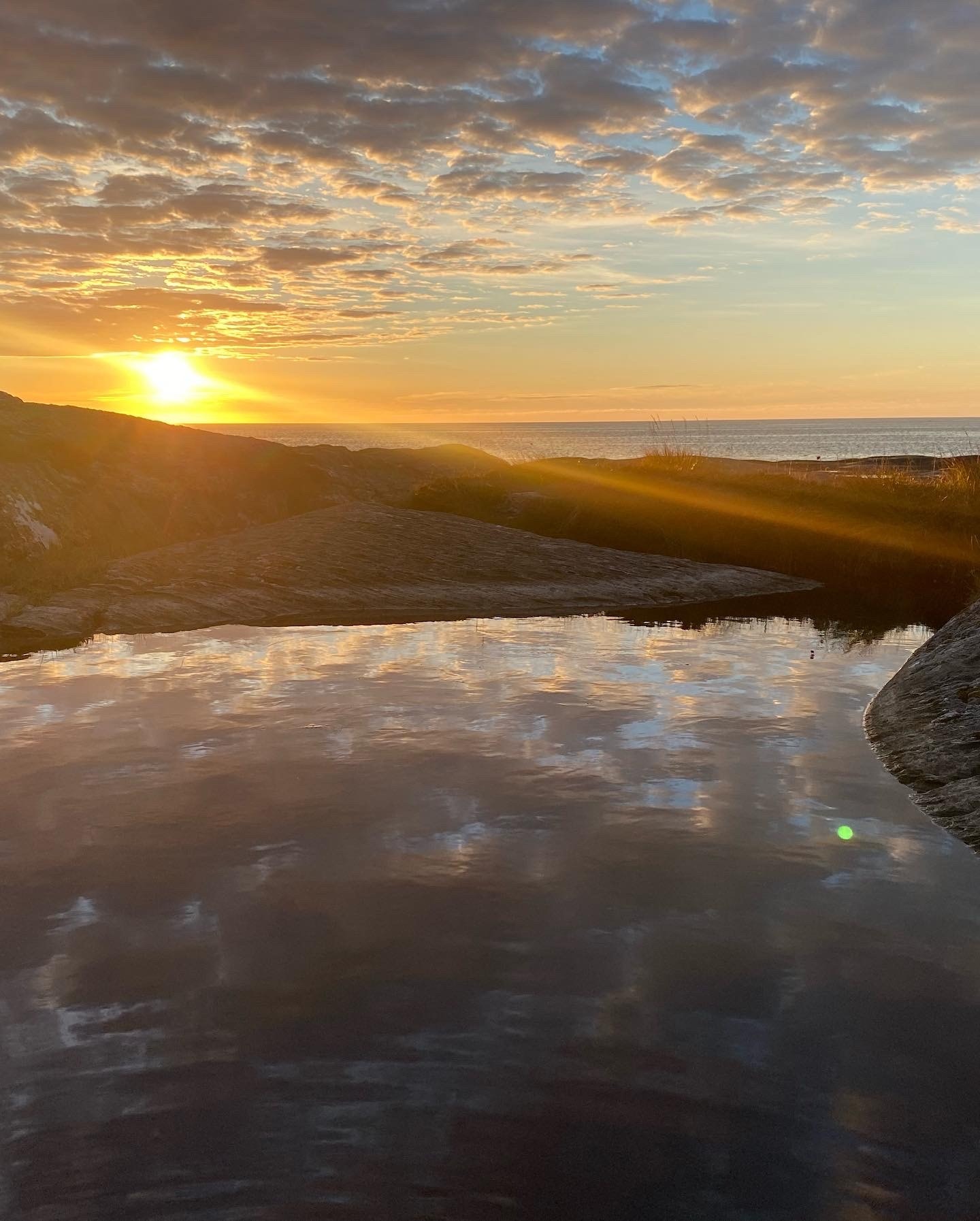 Fra kyststien Galleribilde