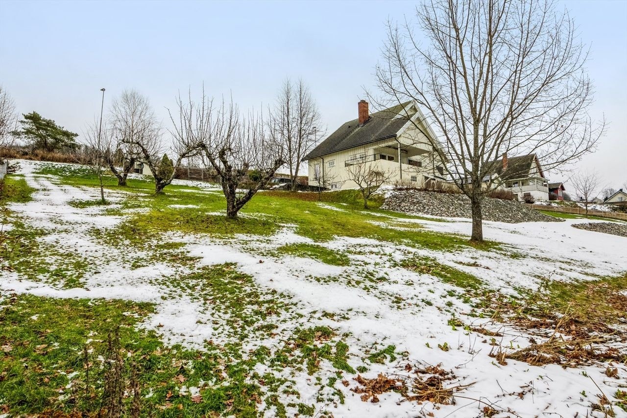 I dag er tomten opparbeidet med plen, busker og trær. Galleribilde