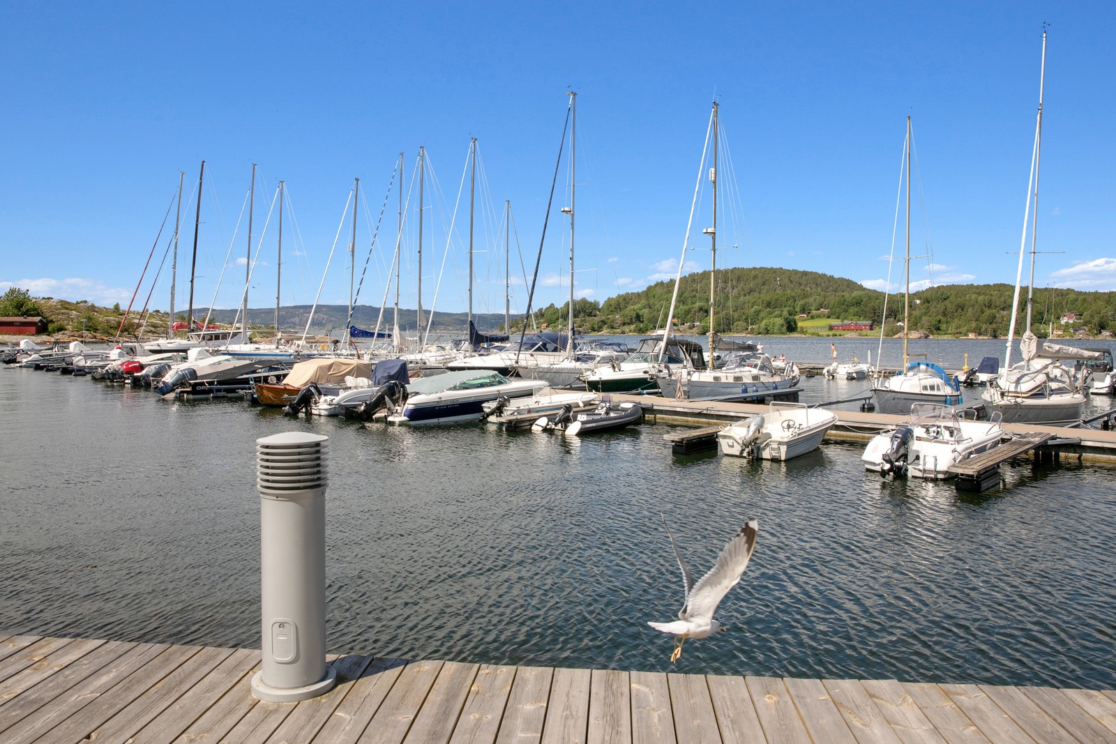 Ta turen ned til brygga og havnepromenaden i Son sentrum. Galleribilde