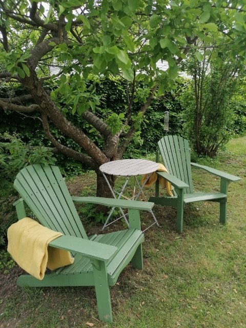 Fine og rolige uteområder. Galleribilde