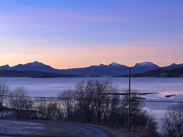 Utsikten Galleribilde