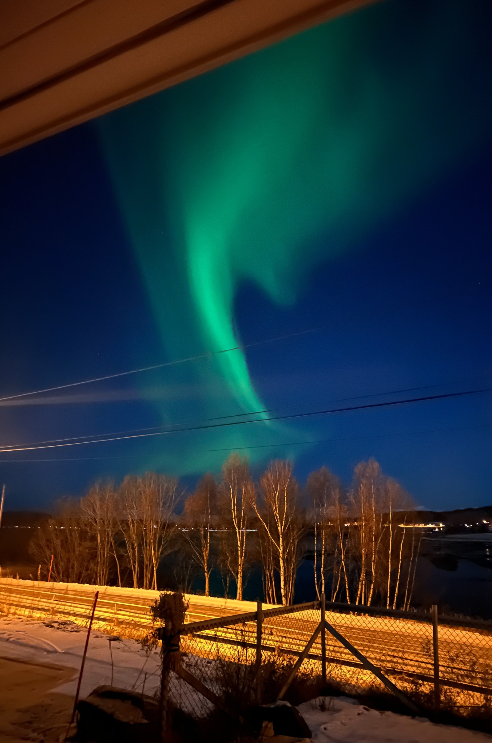 Nordlysbilde tatt fra hagen på Instituttet. Galleribilde
