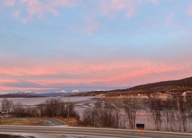 Kort rusletur ned til stranda på andre siden av veien. Galleribilde