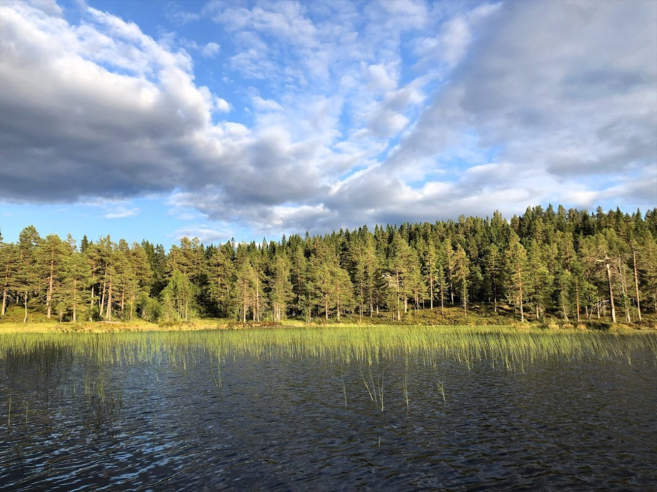Utlån av robåter og badeplass like ved Galleribilde
