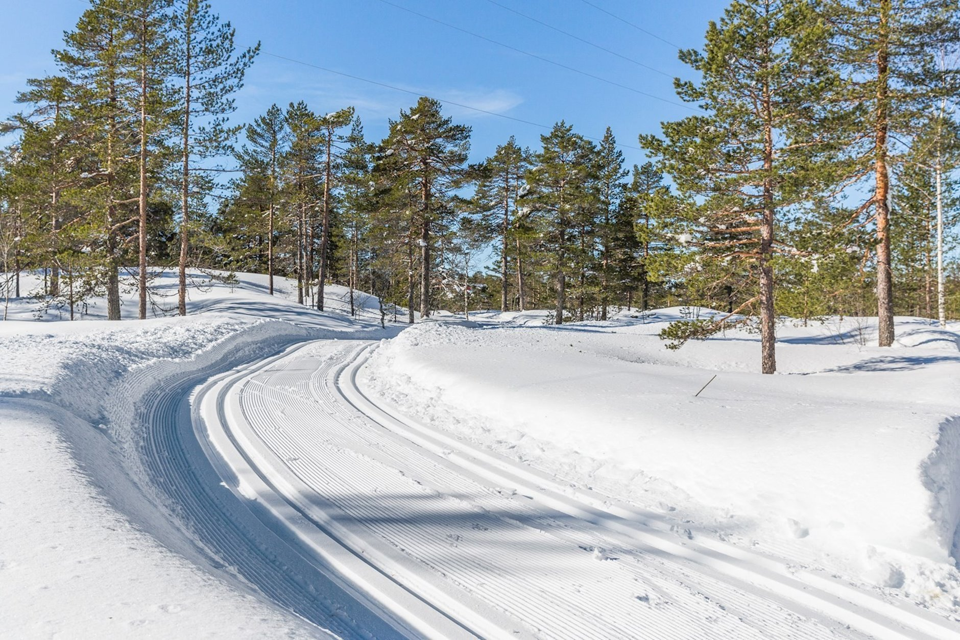 Maskinpreparerte skiløyper rett ved tomten Galleribilde